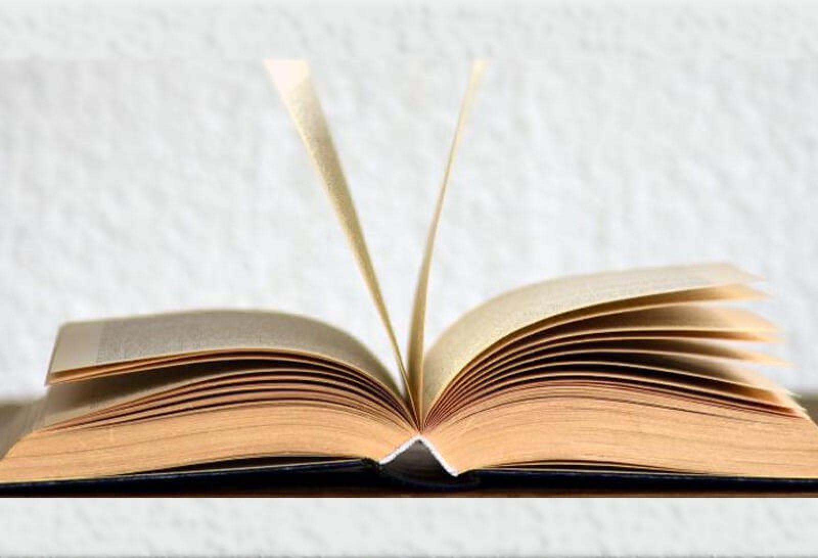 What’s The Difference Between On-page And Off-page SEO?