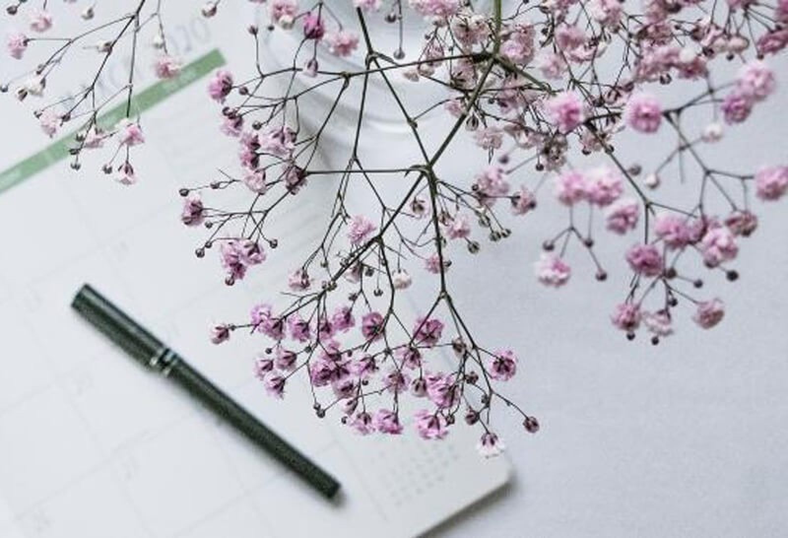 Event Marketing and Management Tips For Fall 2022