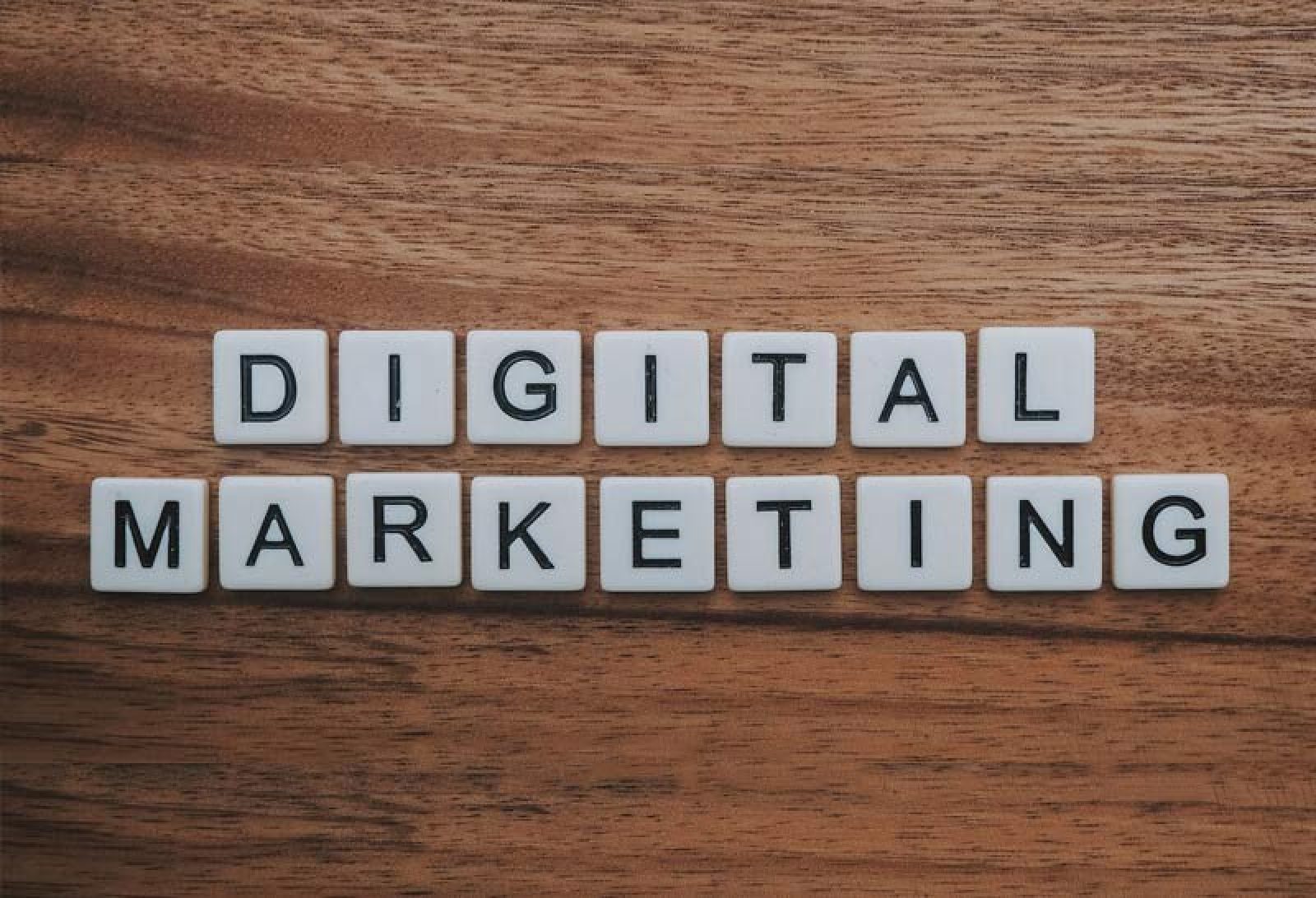 Advice to Turn a B2B Business Digital in 2022